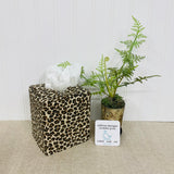 Leopard patterned Tissue Box Cover