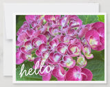 Hydrangea Notecards